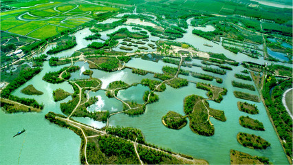 济南市多措并举推进湿地保护与建设向纵深发展