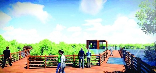 惠州将添一个红树林湿地公园!就在惠东,占地约1万亩