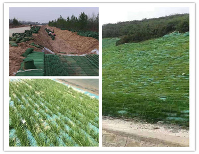 河道治理工程中生态驳岸的优劣性-植生袋植被生态恢复技术核心