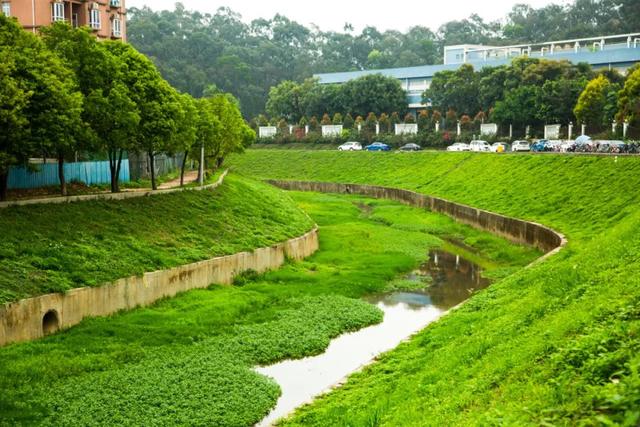 黄江加快整治"一河两岸" 河道水质提升,生态环境恢复 水岸两旁绿植